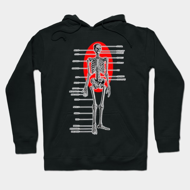 Skeleton Anatomy Identifiable Bones Hoodie by Marccelus